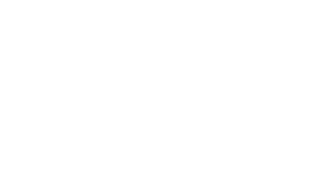 CustomerLogo_apollo-optik